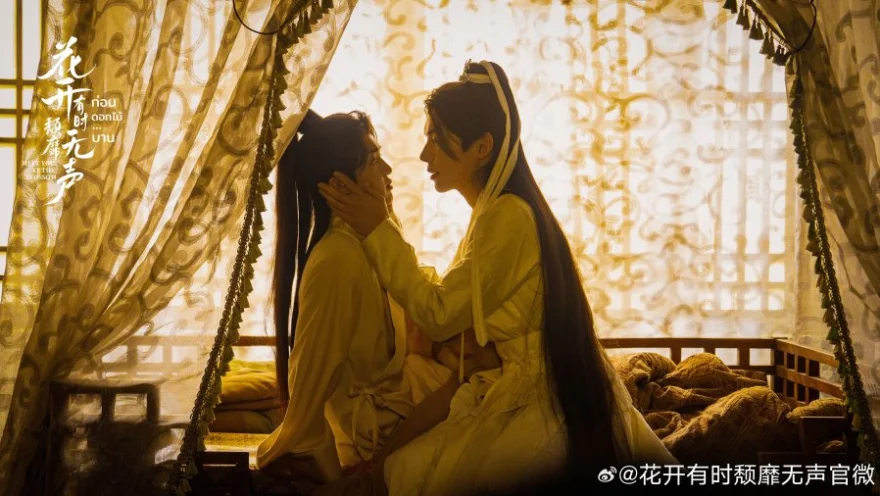  Meet You at the Blossom