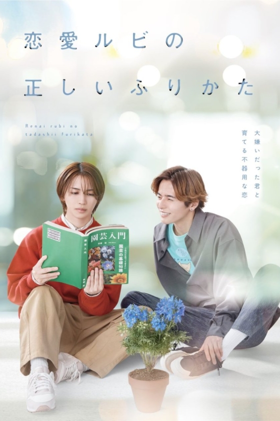 Renai Rubi no Tadashii Furikata