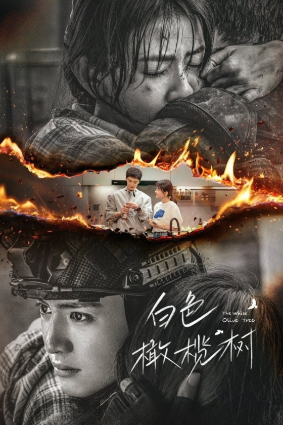 The White Olive Tree