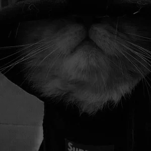 TheUncannyCounterFan