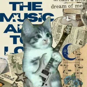 Vegasin pezo gömleği 