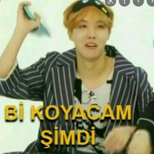 KOREDİZİSİAŞIĞI